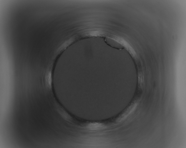 X0000102800397200808251053