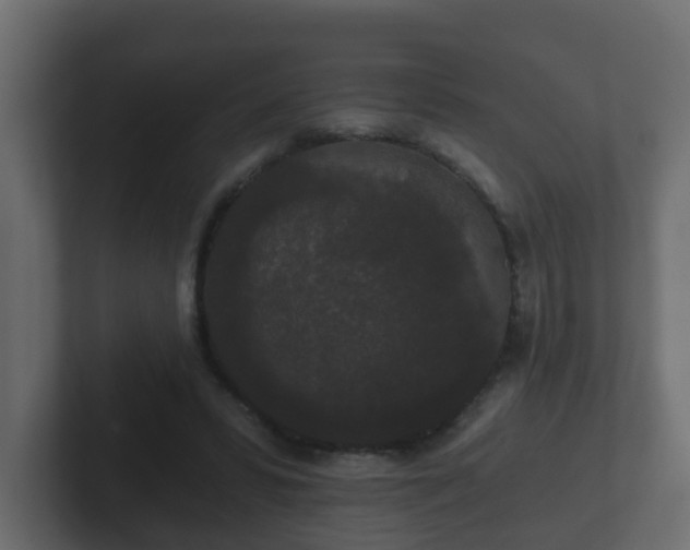 X0000102800399200808251053