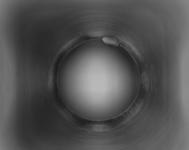 X0000102800400200808251053