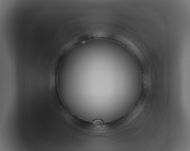 X0000102800401200808251053