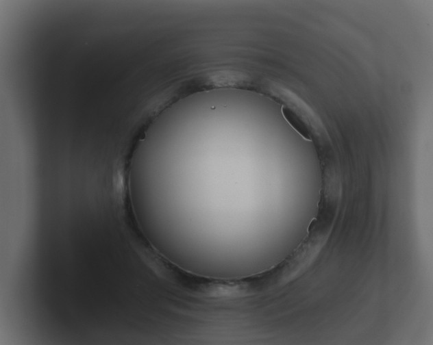 X0000102800405200808251053