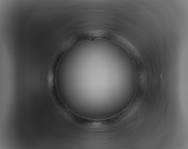 X0000102800406200808251053