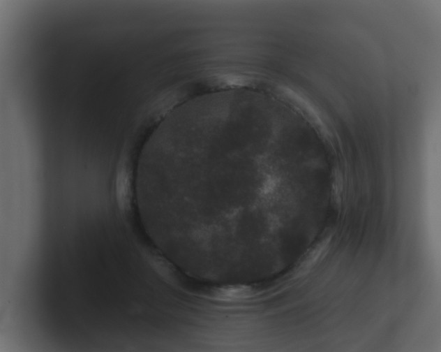 X0000102800410200808251053