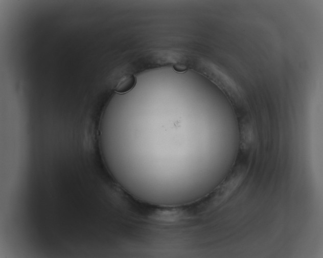 X0000102800414200808251053