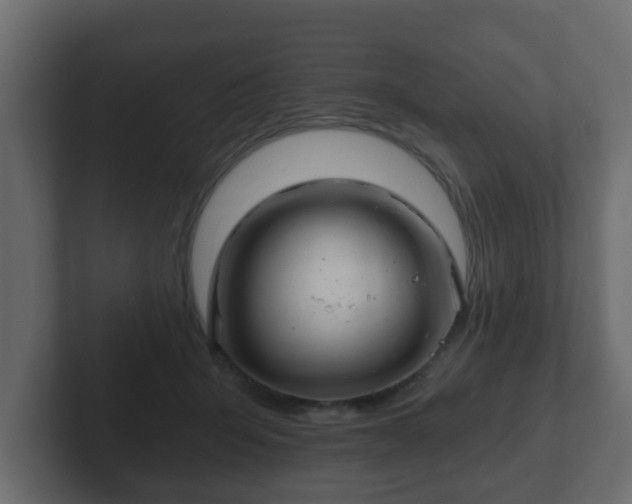 X0000102800415200808251053