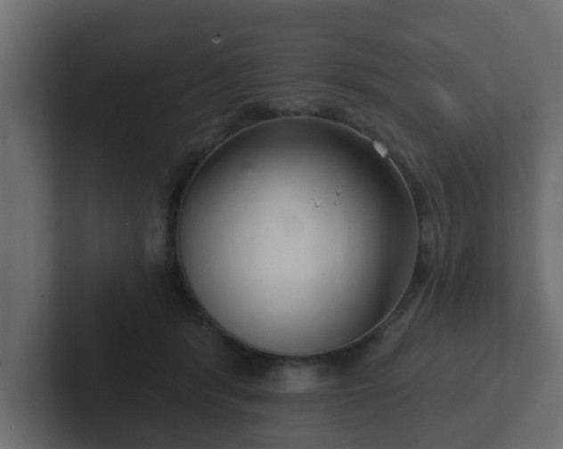 X0000102800416200808251053