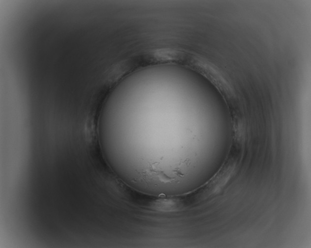 X0000102800418200808251053