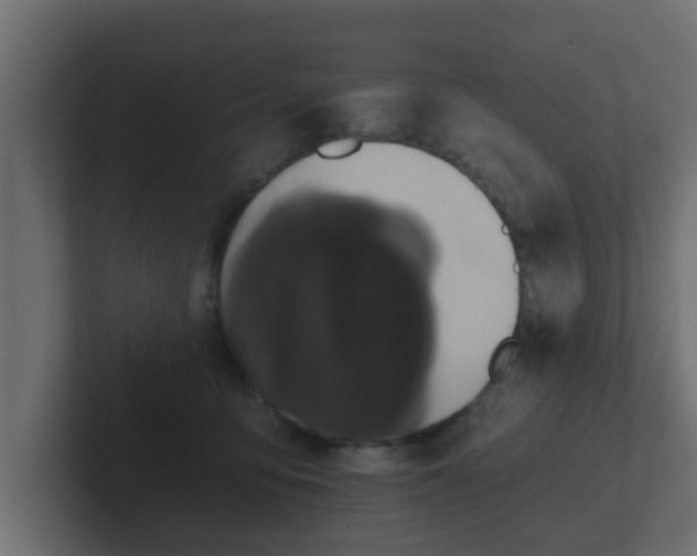 X0000102800419200808251053