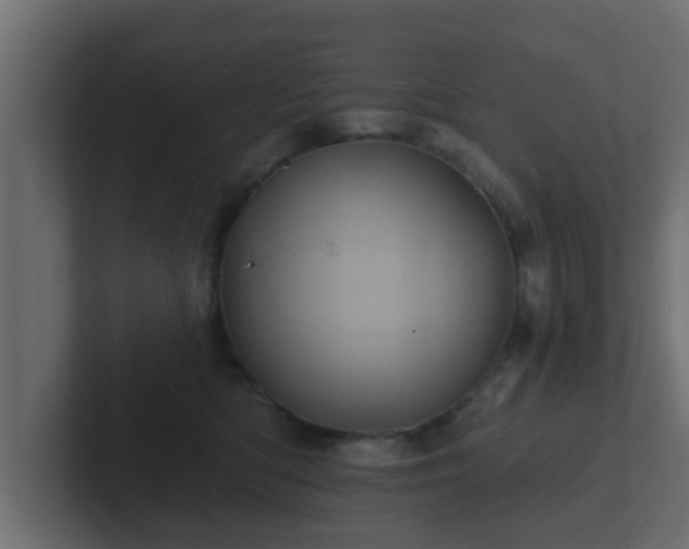 X0000102800422200808251053