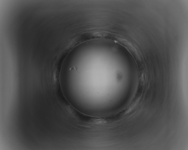 X0000102800424200808251053