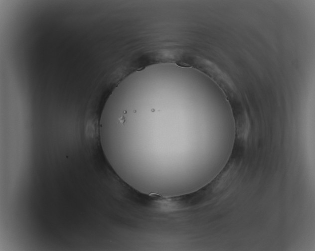 X0000102800425200808251053