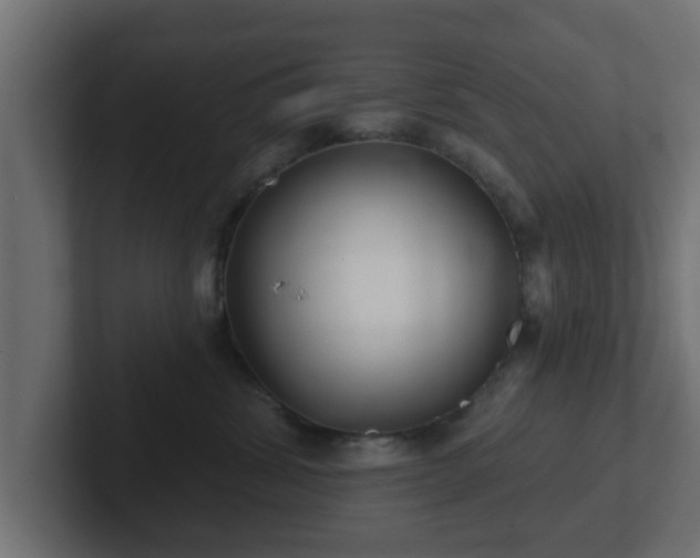 X0000102800428200808251052