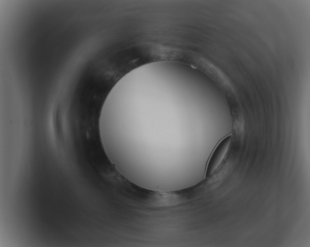 X0000102800429200808251052