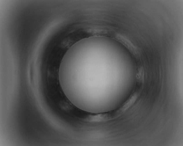 X0000102800430200808251052