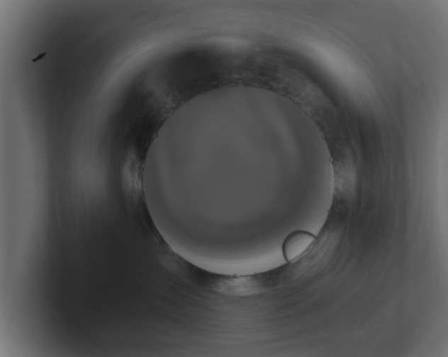 X0000102800431200808251052