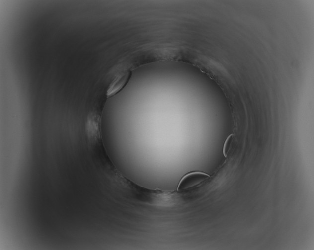 X0000102800432200808251052