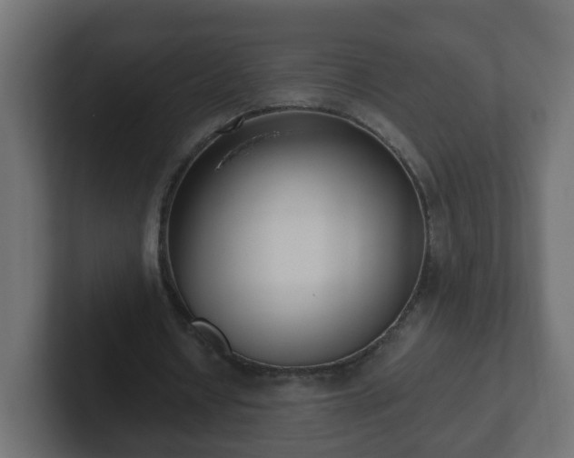 X0000102800434200808251052