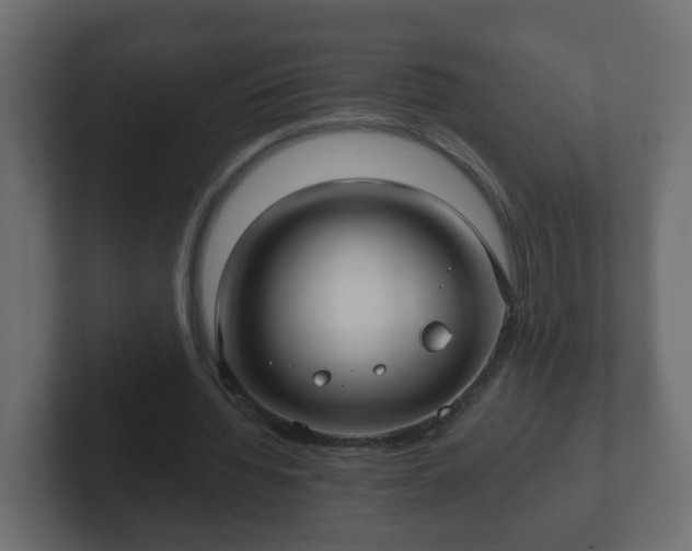 X0000102800436200808251052