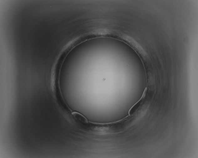 X0000102800440200808251052