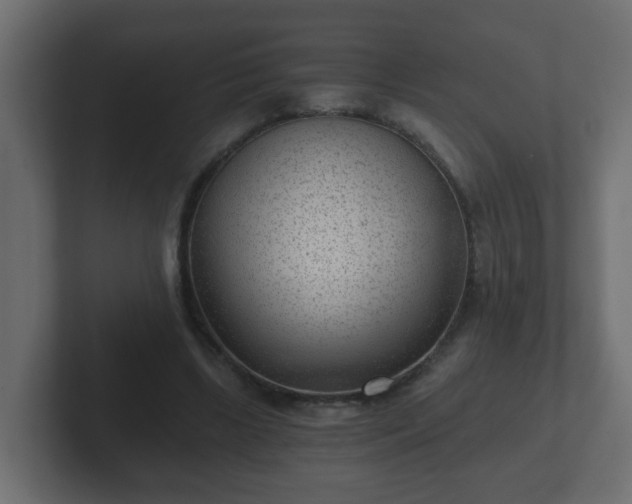 X0000102800443200808251052