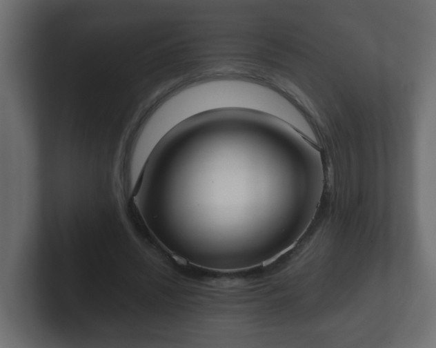 X0000102800444200808251052