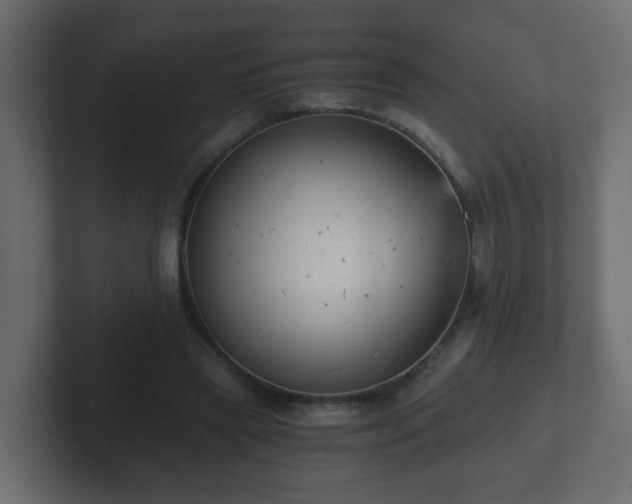 X0000102800445200808251052