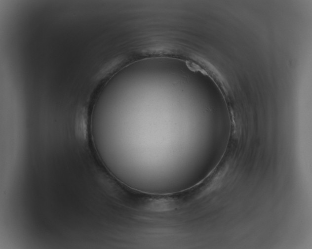 X0000102800446200808251052