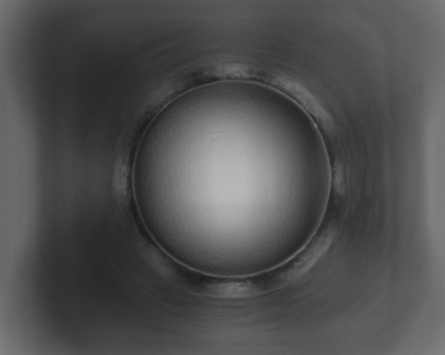 X0000102800449200808251052