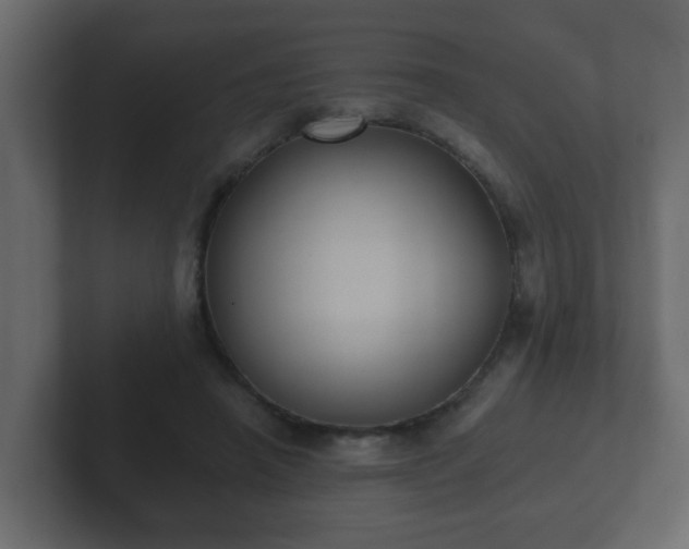 X0000102800450200808251052