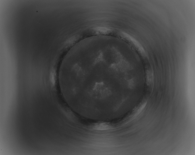 X0000102800451200808251052