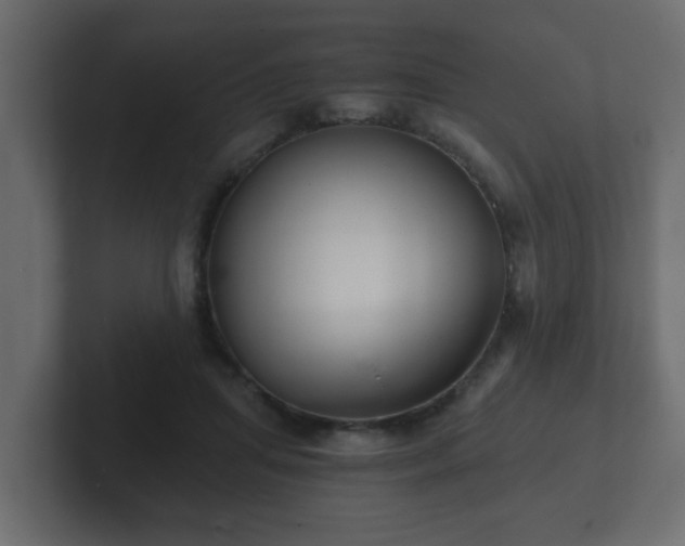 X0000102800455200808251052