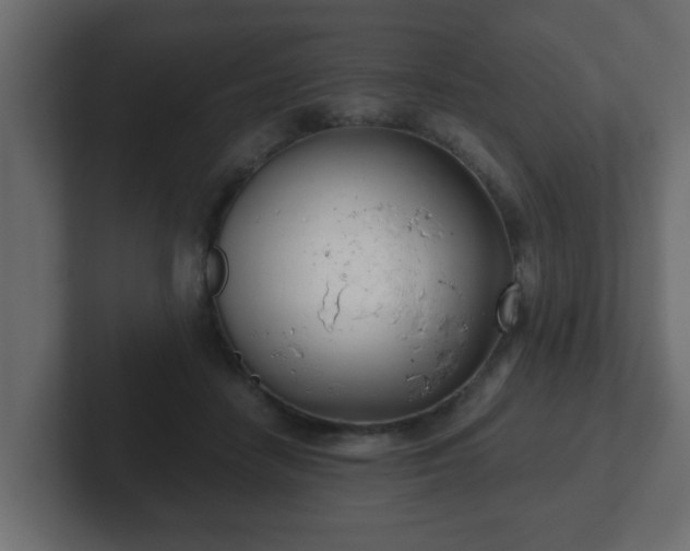 X0000102800458200808251052