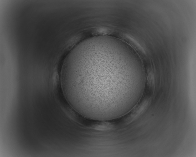 X0000102800459200808251052