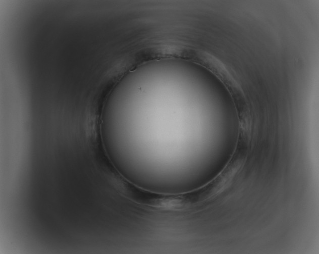 X0000102800462200808251052