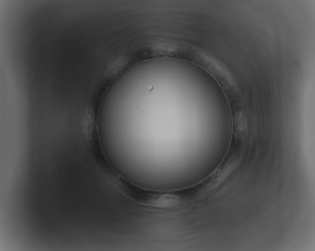 X0000102800463200808251052