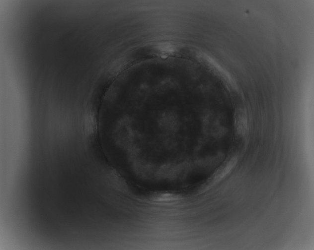 X0000102800467200808251052