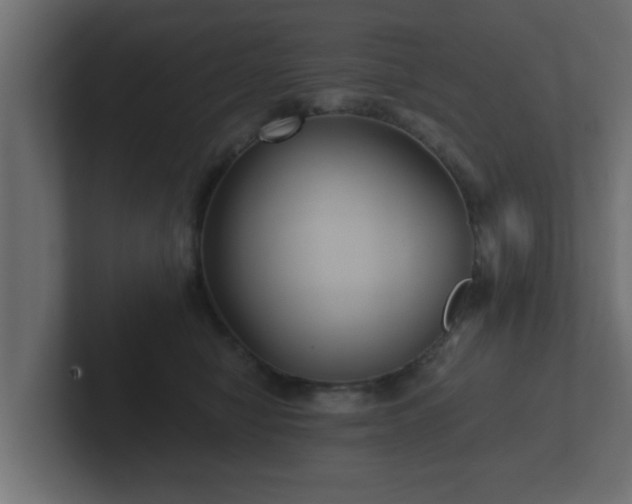 X0000102800470200808251052