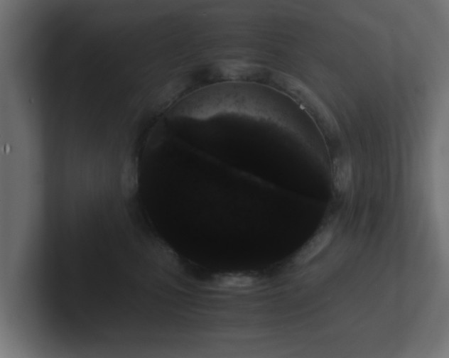 X0000102800471200808251052