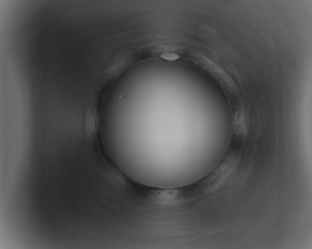 X0000102800474200808251052