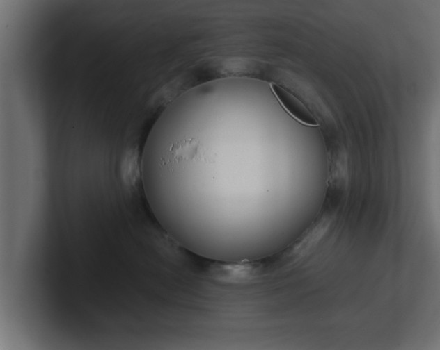 X0000102800478200808251052