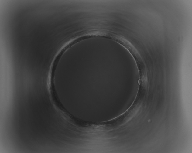 X0000102800484200808251052