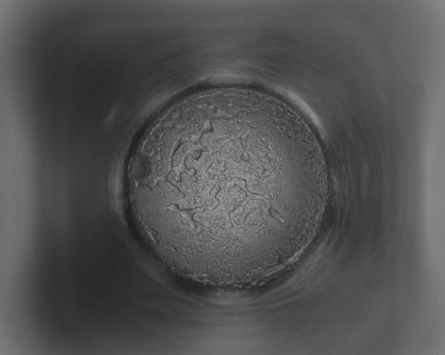 X0000102800487200808251052