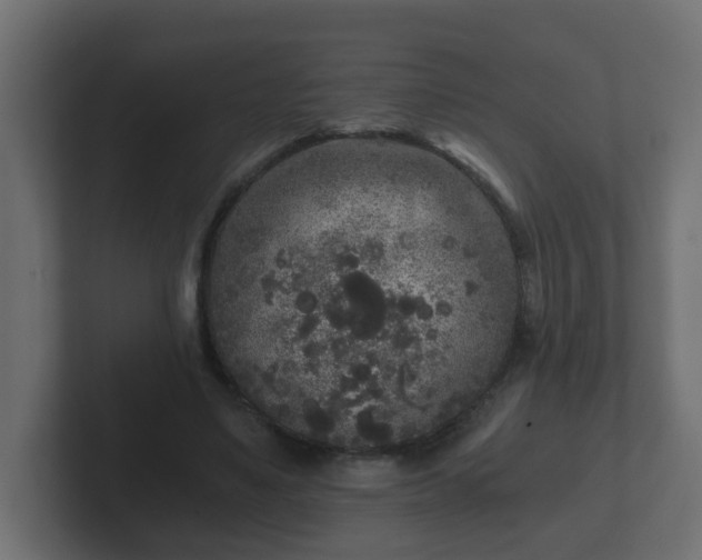 X0000102800491200808251052