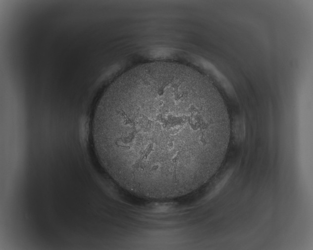 X0000102800495200808251052