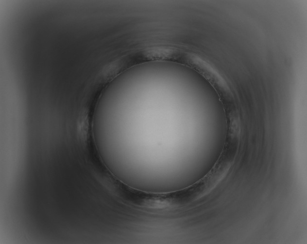 X0000102800498200808251052