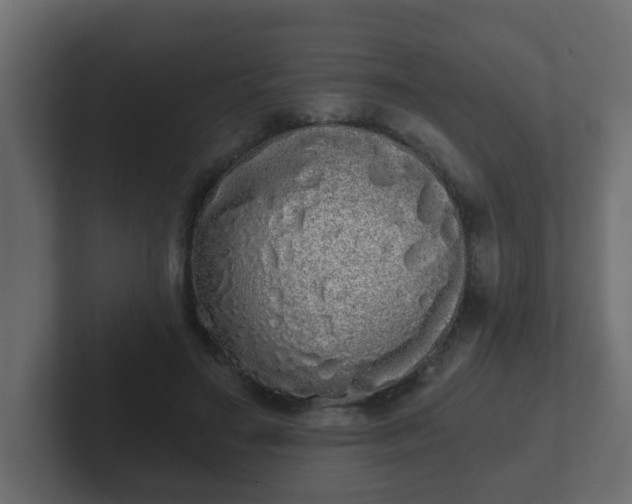 X0000102800499200808251052