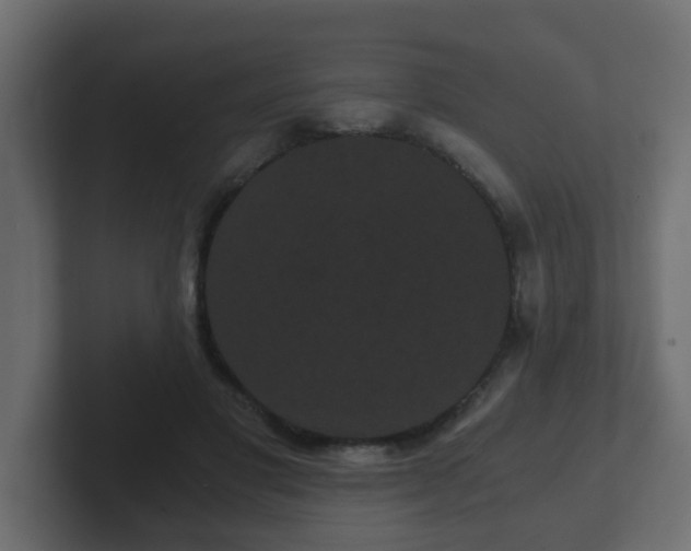 X0000102800501200808251052