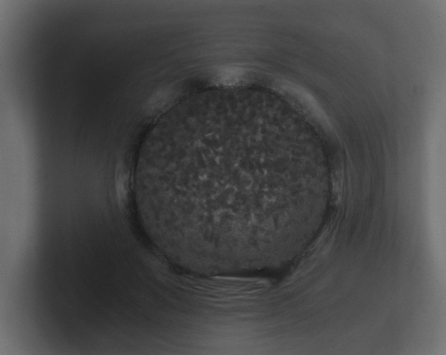 X0000102800503200808251052