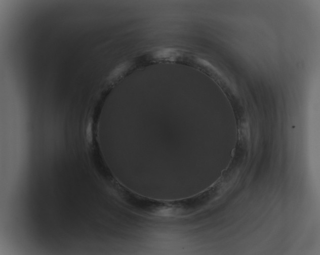 X0000102800504200808251051