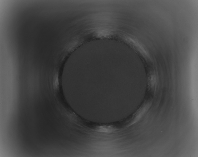 X0000102800508200808251051